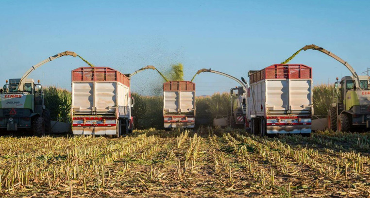 Silage Trailers